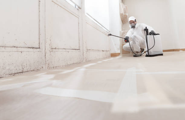 24/7 Emergency Mold Remediation experts in Oxford, MD